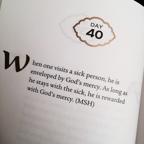 2Daily Wisdom-500x500