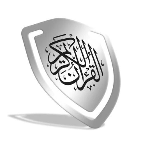 Clip Shield silver 1