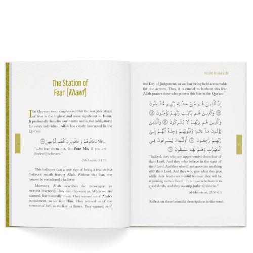 website 500x500 (31)