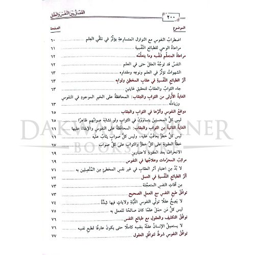 NorHA remplate Watermark dark (10)