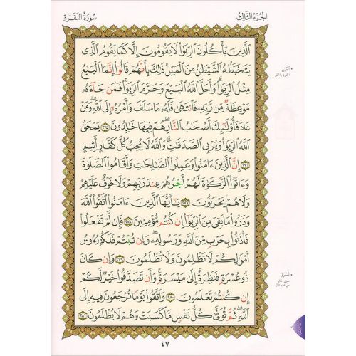 website 500x500 (43)