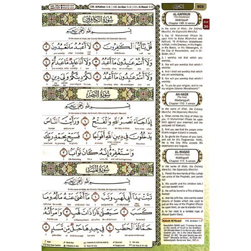 TARIQ (3)