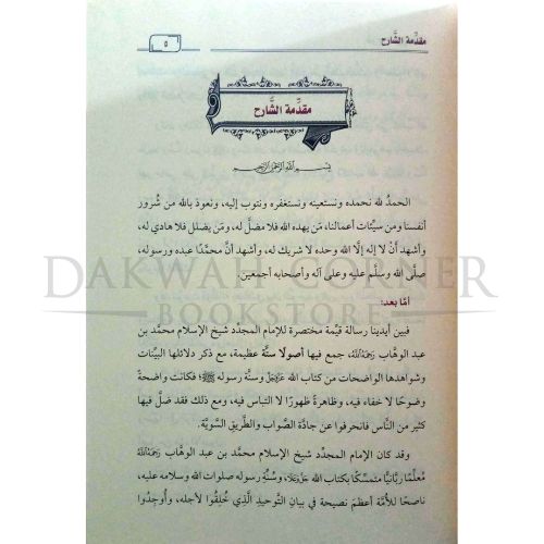 NorHA remplate Watermark DARK (19)