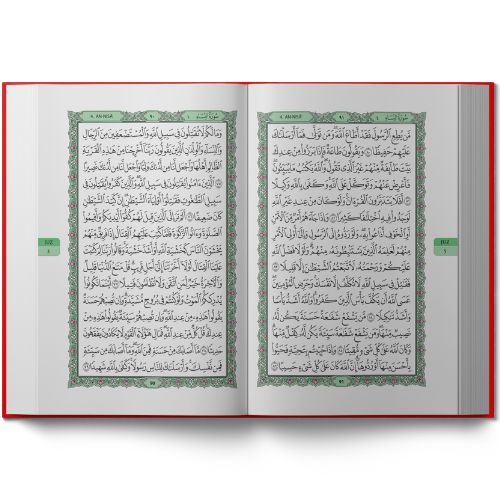 TARIQ (1)