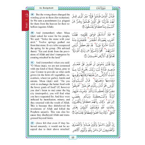 TARIQ (2)