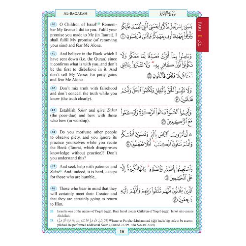 TARIQ (3)