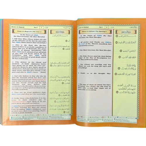 website 500x500 (2)